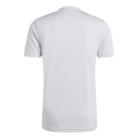 adidas Entrada 26 Football Kit Grey White