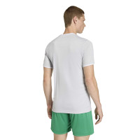 adidas Entrada 26 Football Kit Grey White