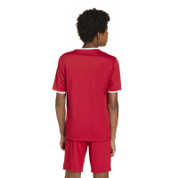 adidas Entrada 26 Voetbaltenue Kids Rood Wit