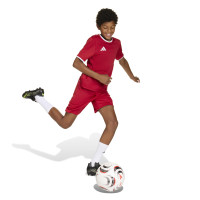 adidas Entrada 26 Voetbaltenue Kids Rood Wit