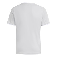 adidas Entrada 26 Voetbaltenue Kids Grijs Wit