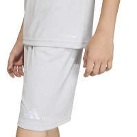 adidas Entrada 26 Voetbaltenue Kids Grijs Wit