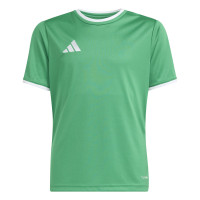 adidas Entrada 26 Voetbalshirt Kids Groen Wit
