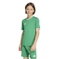adidas Entrada 26 Voetbaltenue Kids Groen Wit