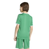 adidas Entrada 26 Voetbaltenue Kids Groen Wit