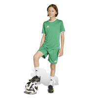 adidas Entrada 26 Voetbalshirt Kids Groen Wit