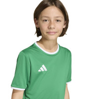 adidas Entrada 26 Voetbaltenue Kids Groen Wit
