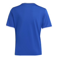 adidas Entrada 26 Voetbalshirt Kids Blauw Wit