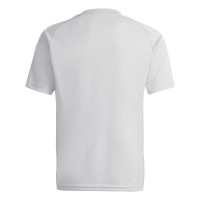 adidas Tiro 26 League Voetbaltenue Kids Grijs Wit