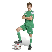 adidas Tiro 26 League Voetbaltenue Kids Groen Wit