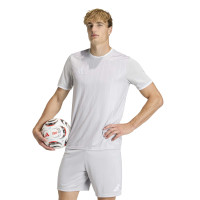 adidas Entrada 26 GFX Football Shirt Grey White