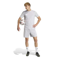 adidas Entrada 26 GFX Football Shirt Grey White