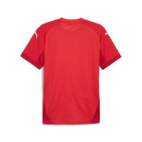 PUMA teamFINAL Voetbalshirt Rood Wit