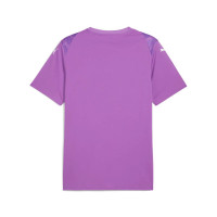 PUMA teamULTIMATE Voetbalshirt Paars