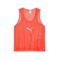 PUMA TeamAdditions TeamAdditions Training bibs Red