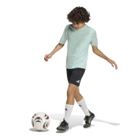 adidas Entrada 26 Voetbaltenue Kids Mintgroen Zwart