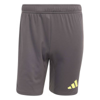 adidas Tiro 25 Pro Keepersbroekje Grijs Geel