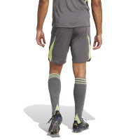 adidas Tiro 25 Pro Keepersbroekje Grijs Geel