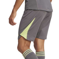 adidas Tiro 25 Pro Keepersbroekje Grijs Geel