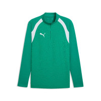 PUMA TeamFinal26 Training sweater 1/4-Zip Green