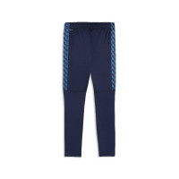 PUMA TeamLiga26 Training pants Dark Blue