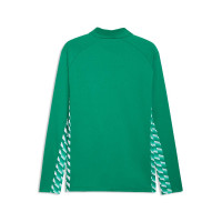 PUMA teamLIGA26 Trainingsjack Groen