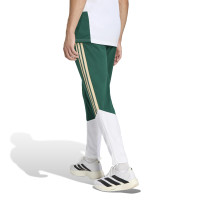 adidas Italië Trainingsbroek 2026-2028 Groen Wit Goud