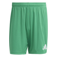 adidas Entrada 26 Voetbaltenue Groen Wit