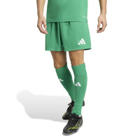 adidas Entrada 26 Voetbaltenue Groen Wit