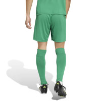 adidas Entrada 26 Voetbaltenue Groen Wit