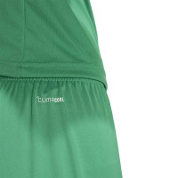 adidas Entrada 26 Voetbalbroekje Groen Wit