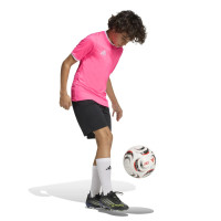adidas Entrada 26 Voetbaltenue Kids Roze Zwart