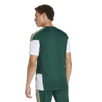 adidas Italië Trainingsshirt 2026-2028 Groen Wit Goud