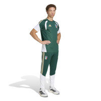 adidas Italië Trainingsshirt 2026-2028 Groen Wit Goud