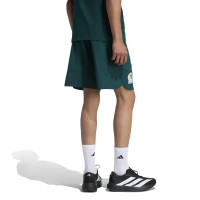 adidas Mexico Tiro Travel Short 2026-2028 Green White
