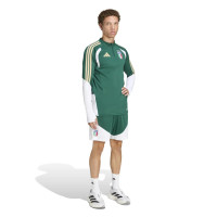 adidas Italië Trainingstrui 1/4-Zip 2026-2028 Groen Wit Goud