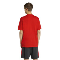 adidas België DNA Graphic T-Shirt 2026-2028 Rood Zwart