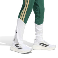 adidas Italië Trainingsbroek 2026-2028 Kids Groen Wit Goud