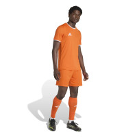 adidas Entrada 26 Voetbaltenue Oranje Wit