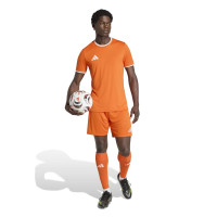 adidas Entrada 26 Voetbaltenue Oranje Wit