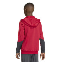 adidas Liverpool Track Hoodie 1/4-Zip 2025-2026 Kids Rood Grijs Zilver
