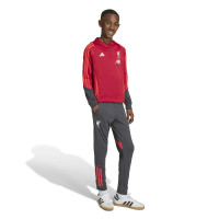 adidas Liverpool Track Hoodie 1/4-Zip 2025-2026 Kids Rood Grijs Zilver