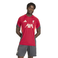 adidas Liverpool Training Set 2025-2026 Red Grey Silver