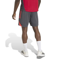 adidas Liverpool Trainingsbroekje 2025-2026 Grijs Rood