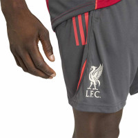 adidas Liverpool Training Set 2025-2026 Red Grey Silver