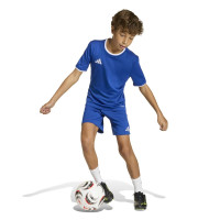 adidas Entrada 26 Voetbalbroekje Kids Blauw Wit