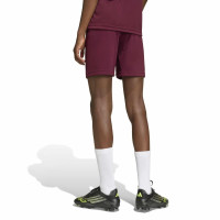 adidas Entrada 26 Voetbalbroekje Kids Donkerrood Wit