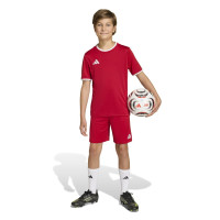adidas Entrada 26 Voetbaltenue Kids Rood Wit