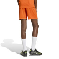 adidas Entrada 26 Voetbaltenue Kids Oranje Wit