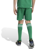 adidas Tiro 26 Competition Voetbalbroekje Kids Groen Wit